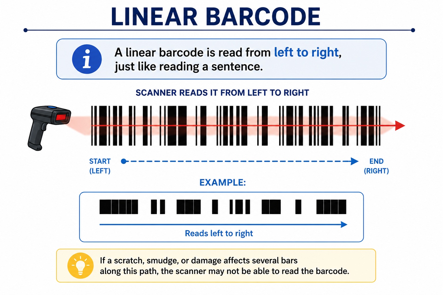 Linear vs 2D Barcodes: What's the Difference? A Beginner's Guide